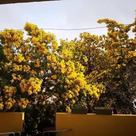 Appartement Proche Avec Terrasse Et Jardin Privatif Hyères