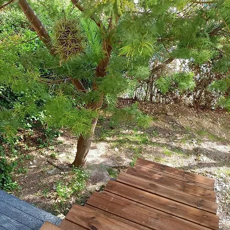 Proche Avec Terrasse Et Jardin Privatif * Hyeres
