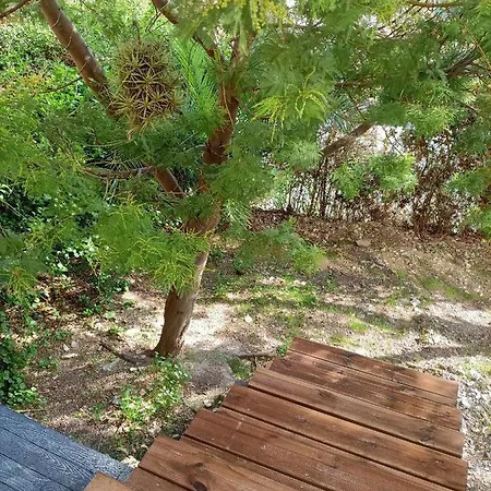 Proche Avec Terrasse Et Jardin Privatif * イエール